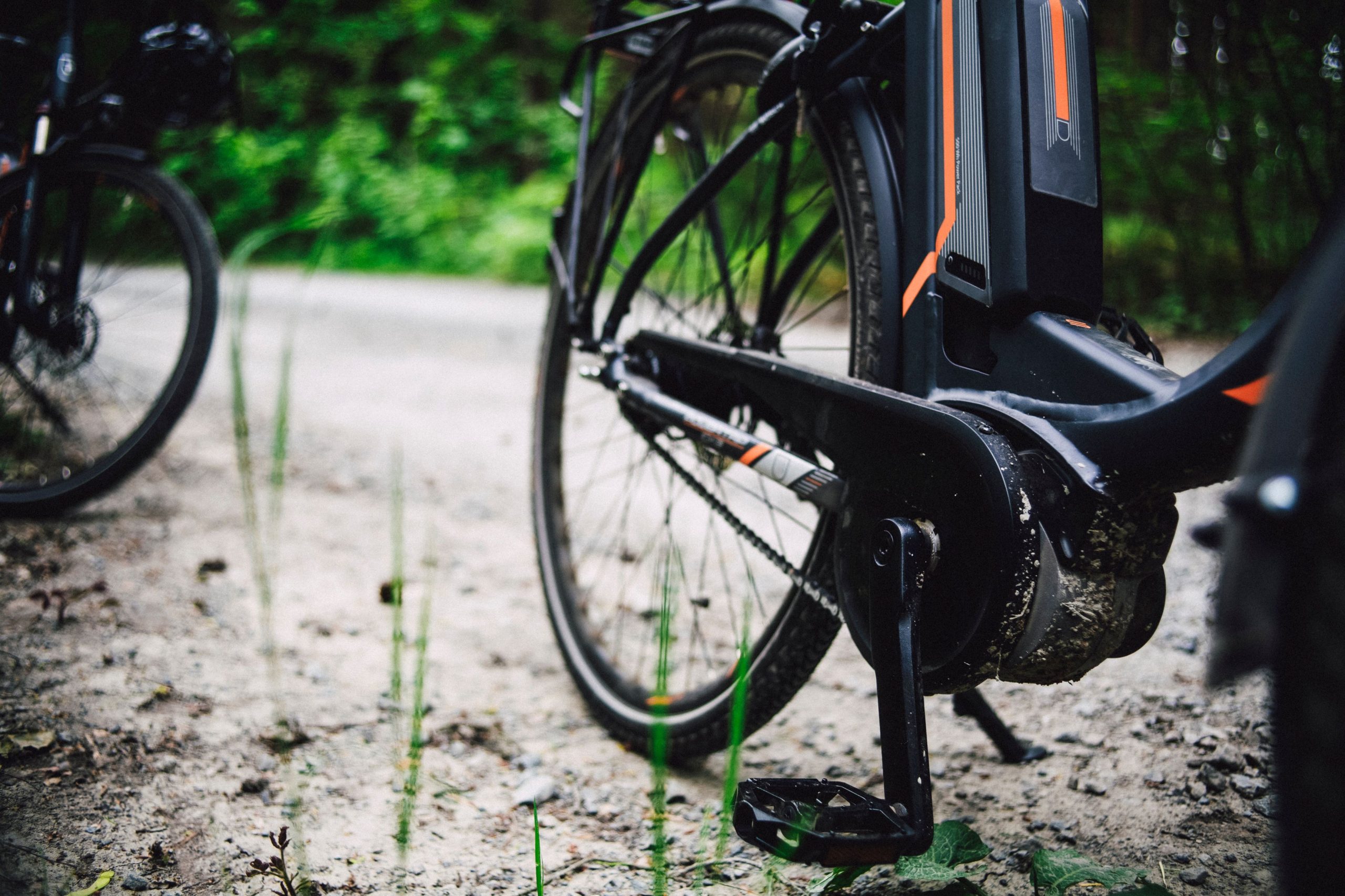 VTT détail sur sentier gravier forêt luxuriante